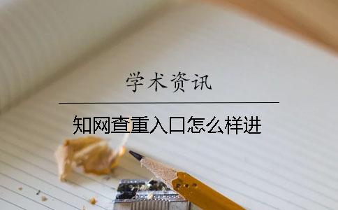 學術查重入口怎么樣進