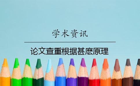 論文查重根據甚麼原理