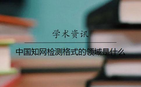 中國學術檢測格式的領域是什么？