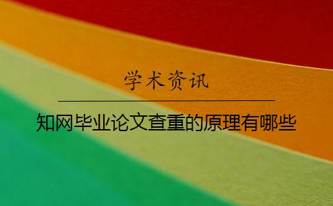 學(xué)術(shù)畢業(yè)論文查重的原理有哪些