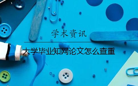 大學(xué)畢業(yè)學(xué)術(shù)論文怎么查重