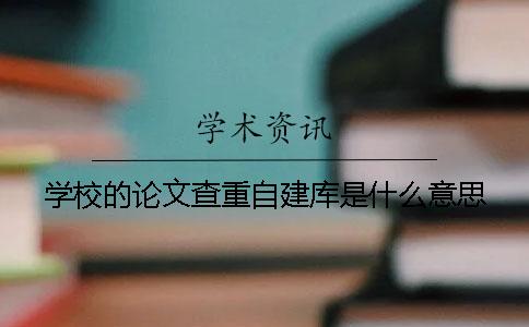 學校的論文查重自建庫是什么意思？