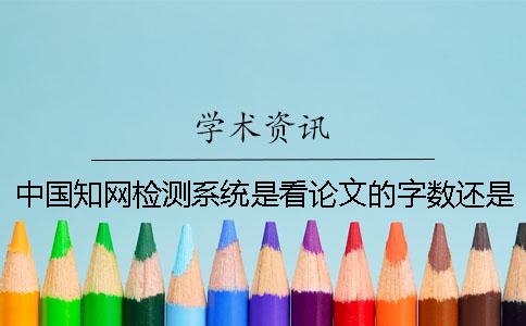 中國學術檢測系統是看論文的字數還是字符？