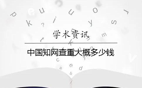 中國學術查重大概多少錢