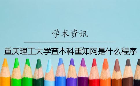 重慶理工大學查本科重學術是什么程序