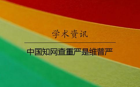 中國學(xué)術(shù)查重嚴(yán)是維普嚴(yán)